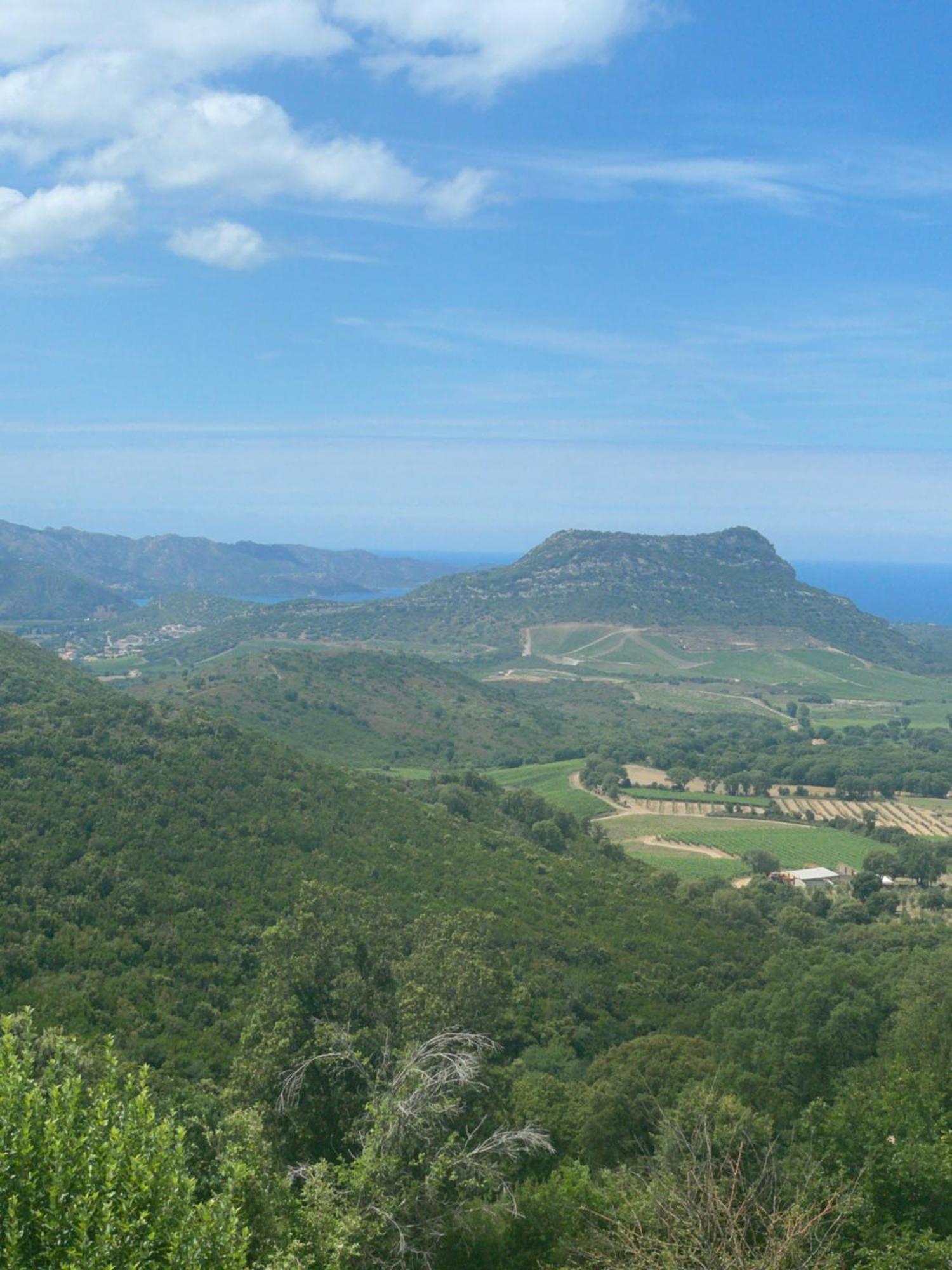 Casa Di Cajucan Poggio-d'Oletta Luaran gambar