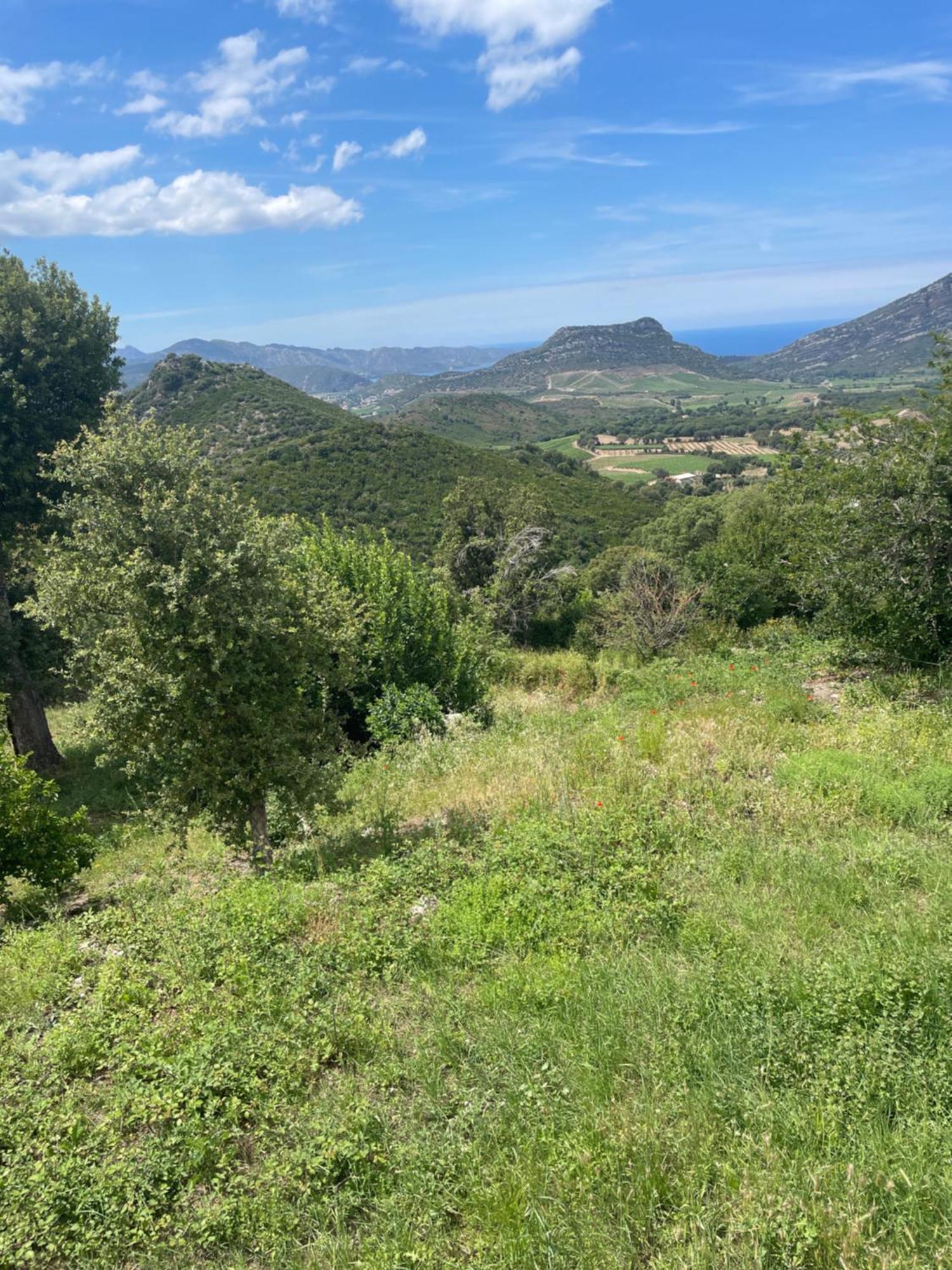 Casa Di Cajucan Poggio-d'Oletta Luaran gambar